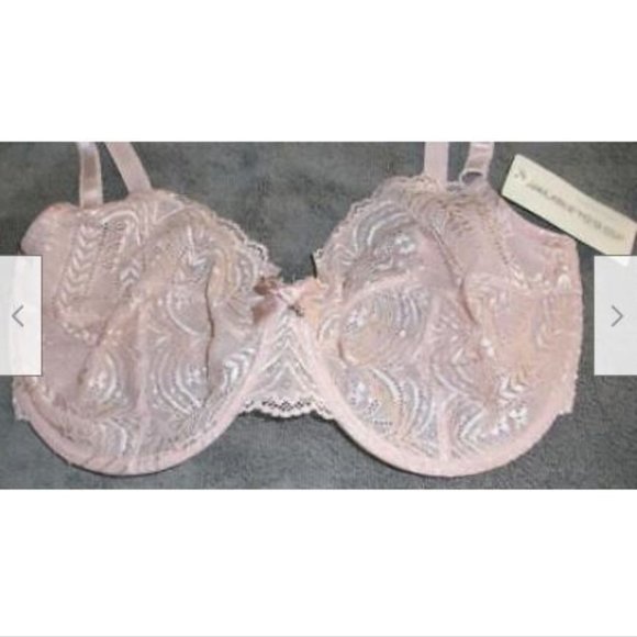 NWT Elle Macpherson Long Long Ago Underwire Bra Soft Nude 36FF - Picture 4 of 6